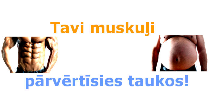 Muskuli_taukos