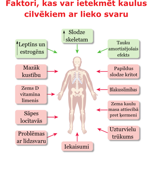 kauli_liekais_svars